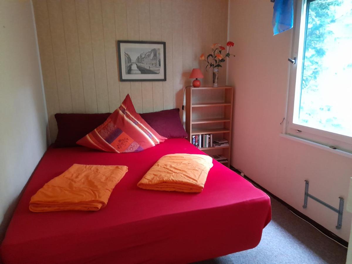 Bungalow Am Waldbad Villa Dahlen Dış mekan fotoğraf